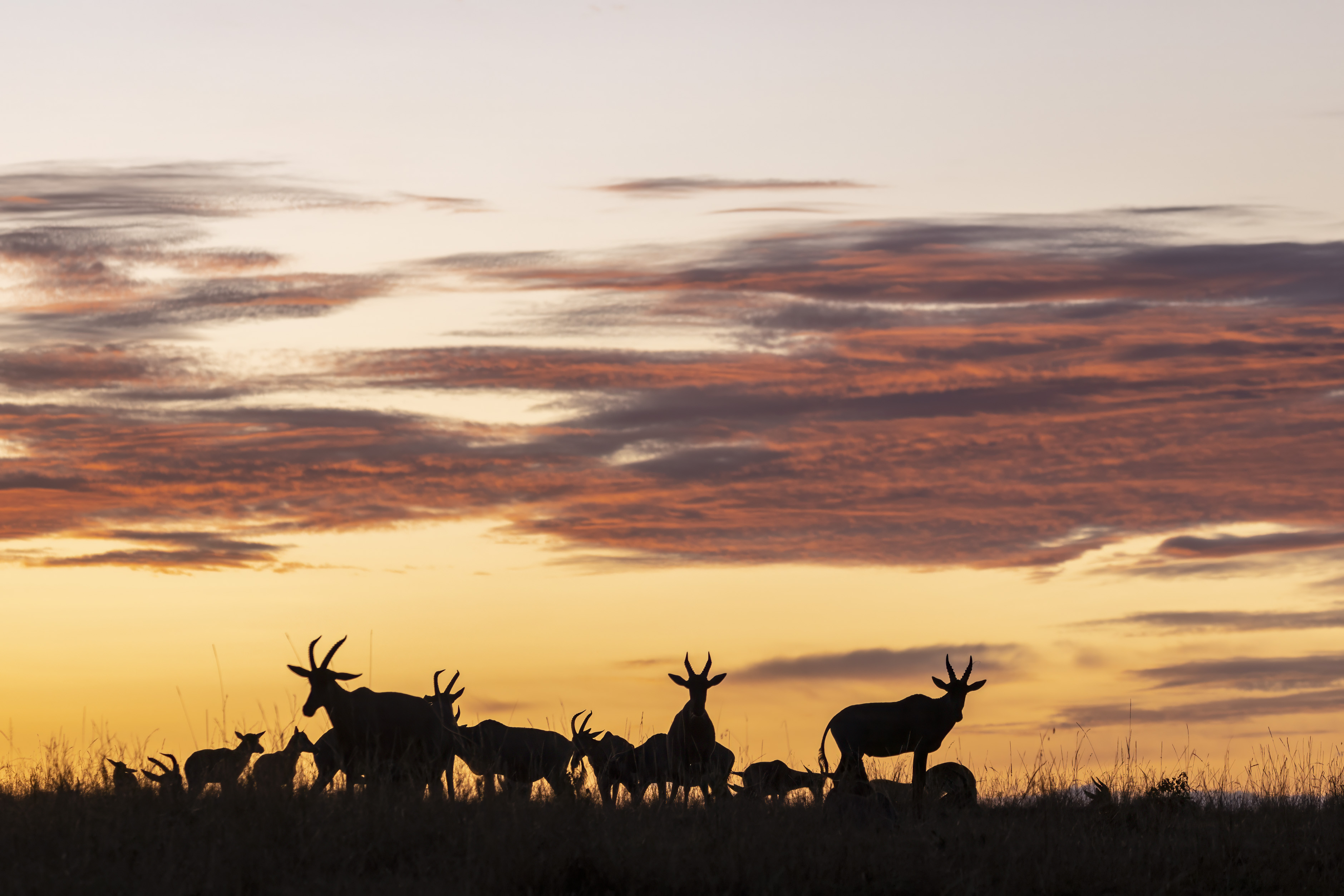 November 11, 2022-060756-Edit.jpg